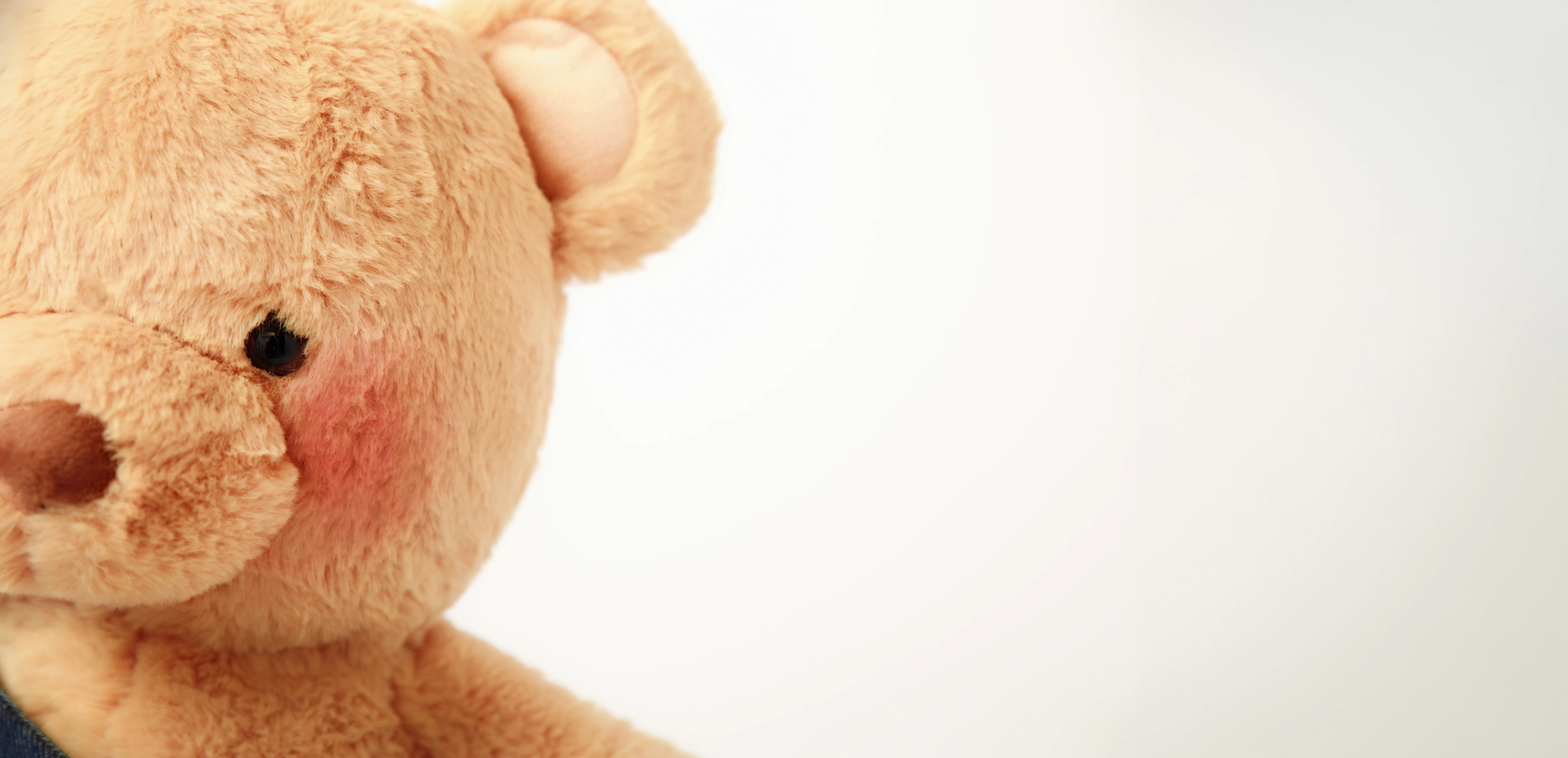 Teddy Bear Close-up
